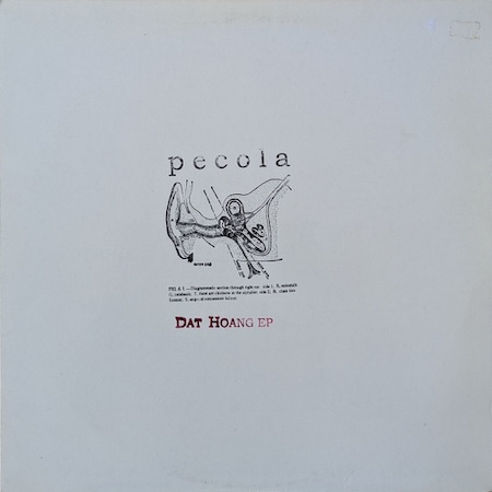 icon for Pecola - Dat Hoang EP