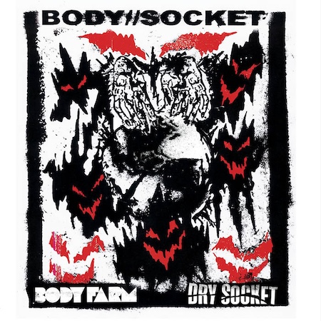 icon for Body Farm / Dry Socket - Body // Socket