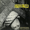 icon for Citizen Fish - Disposable Dream / Flesh and Blood II