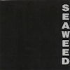 Seaweed