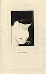 Heart Murmur and Cryptic Slaughter split zine cover