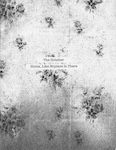 Home, Like Noplace Is There (Lyric Zine) cover