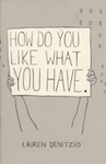 How Do You Like What You Have zine cover