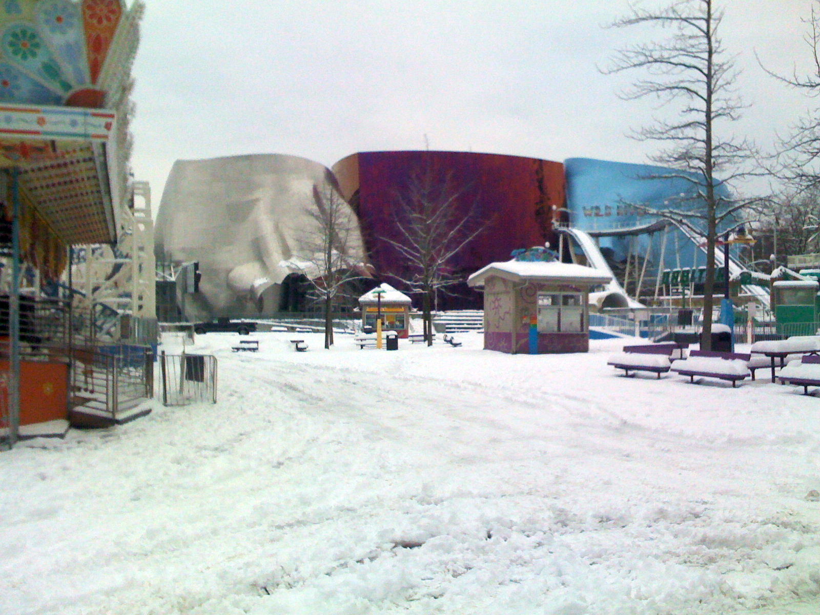 the fun forest is not so fun in the snow